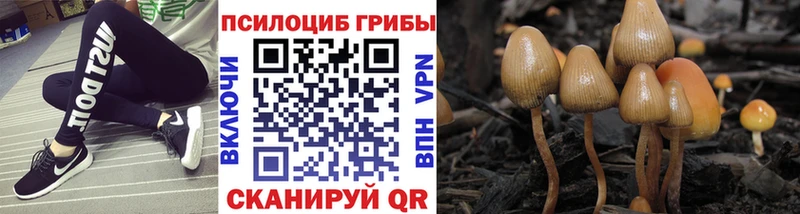 Псилоцибиновые грибы ЛСД  Краснозаводск 